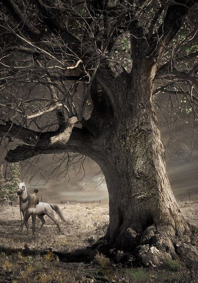 Dryad